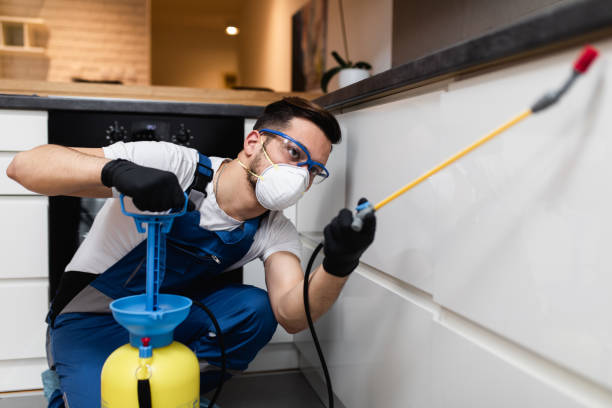 Flea Control Services in Kettering, MD