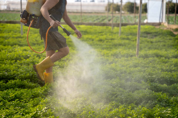 Pest Control for Restaurants in Kettering, MD