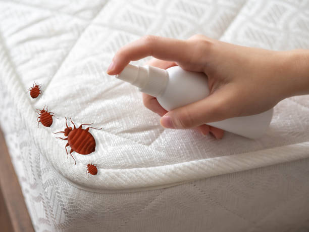 Best Residential Pest Control  in Kettering, MD