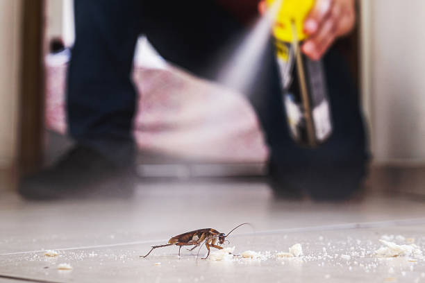 Best Pest Control Near Me in Kettering, MD